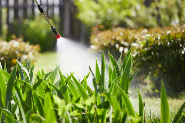 24/7 Emergency Wasp Removal experts in Scotts Hill, TN