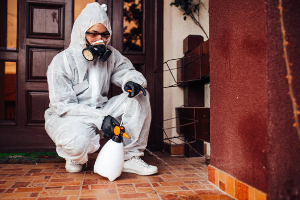 Reliable Wasp Removal contractor in Scotts Hill, TN by Show Me Pest Control
